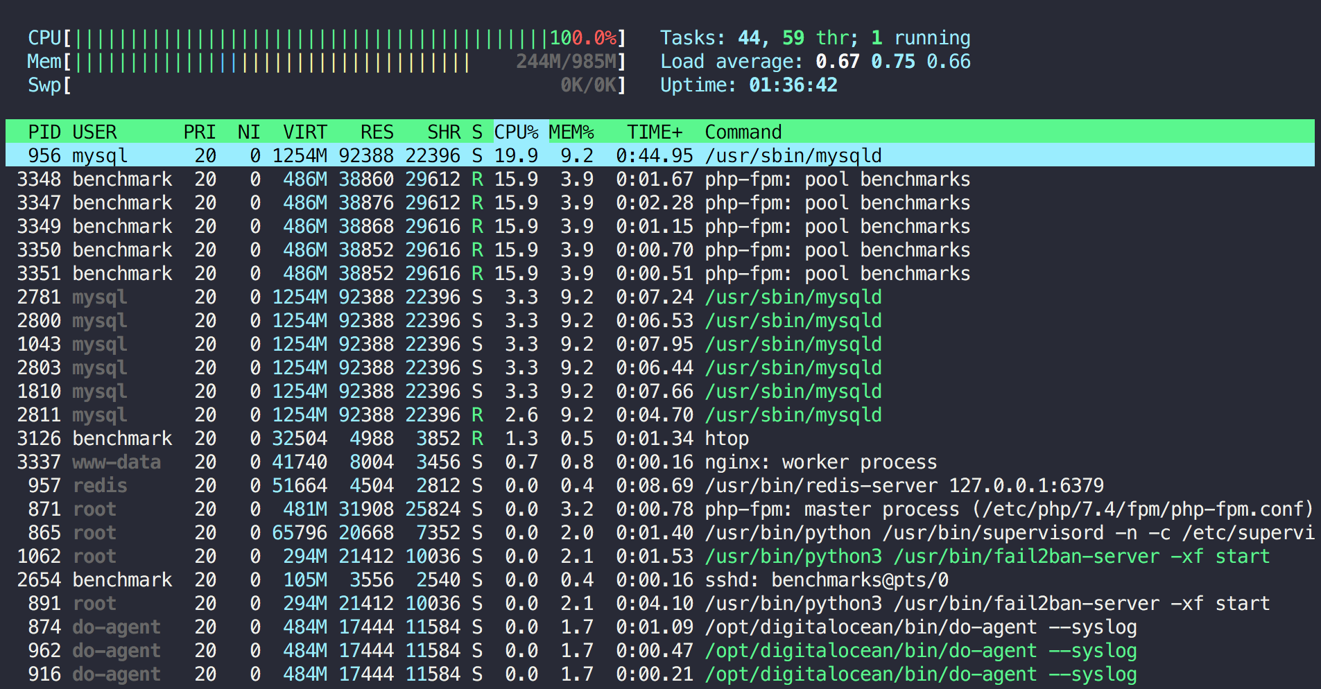htop results