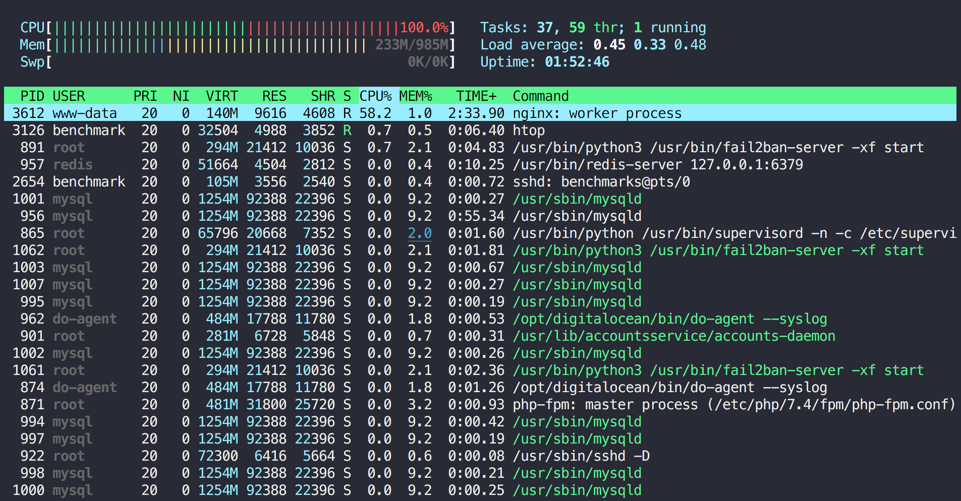 Final htop results