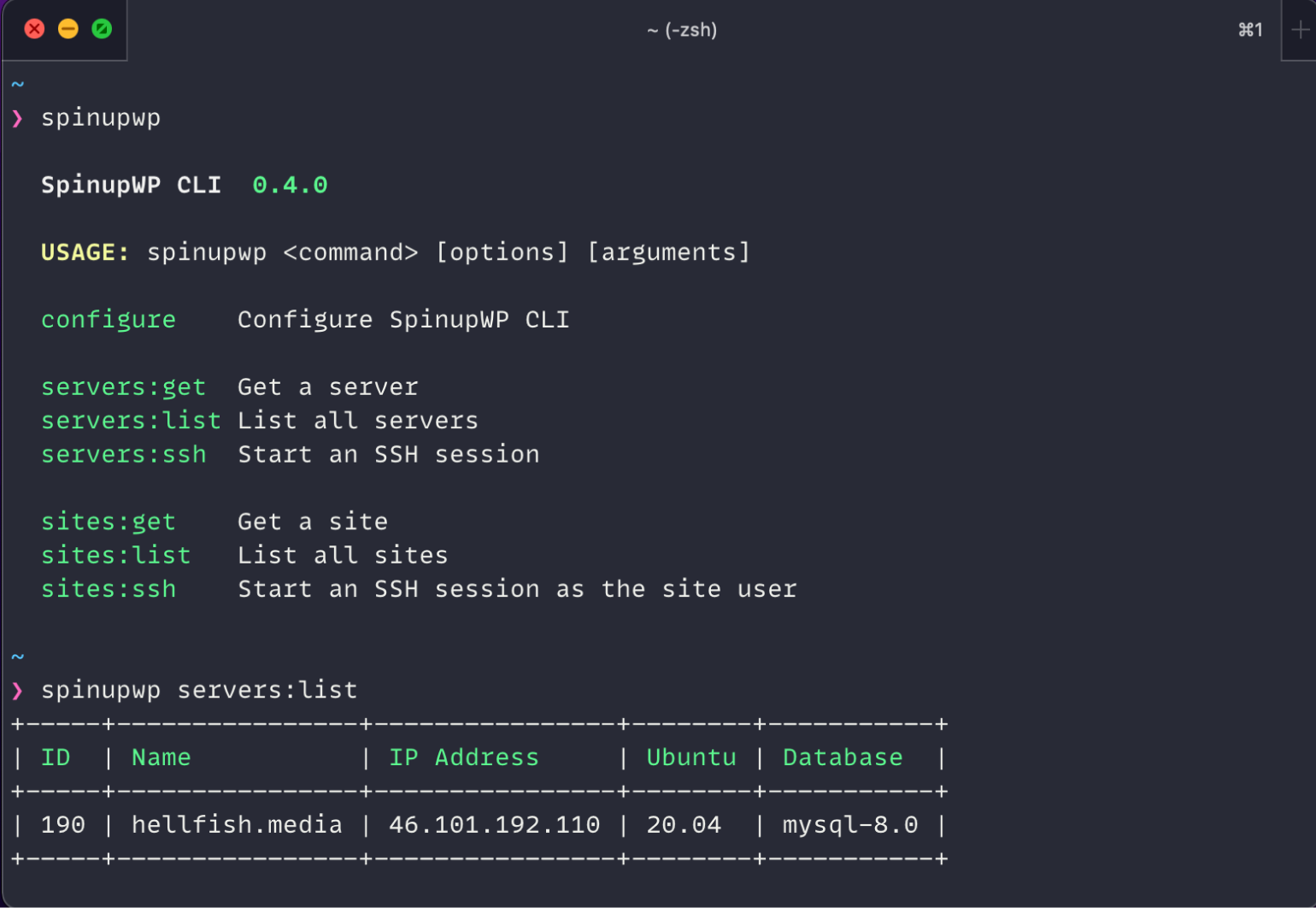 A view of the SpinupWP command line interface.
