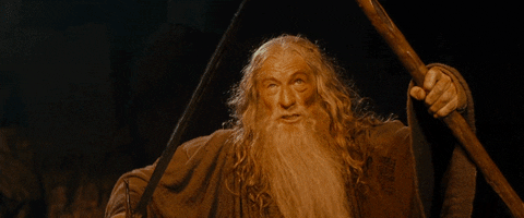 Gandalf from Lord of the Rings, saying "You Shall Not Pass!"