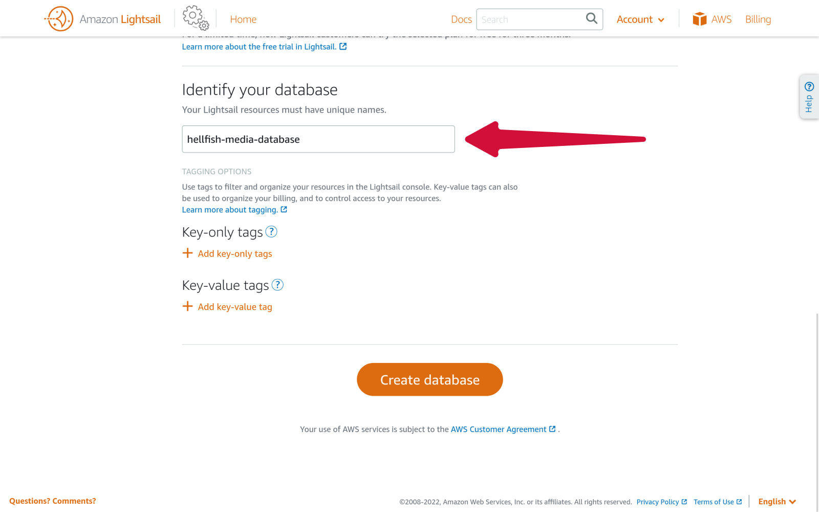 Amazon Lightsail enter database name.