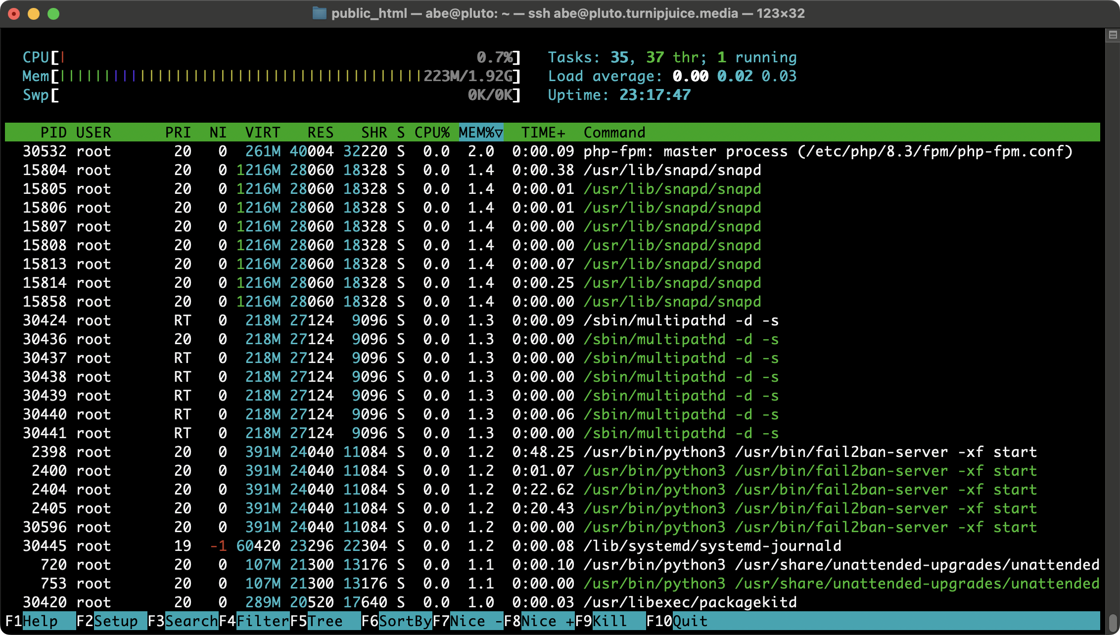 Screenshot of a terminal window showing htop.