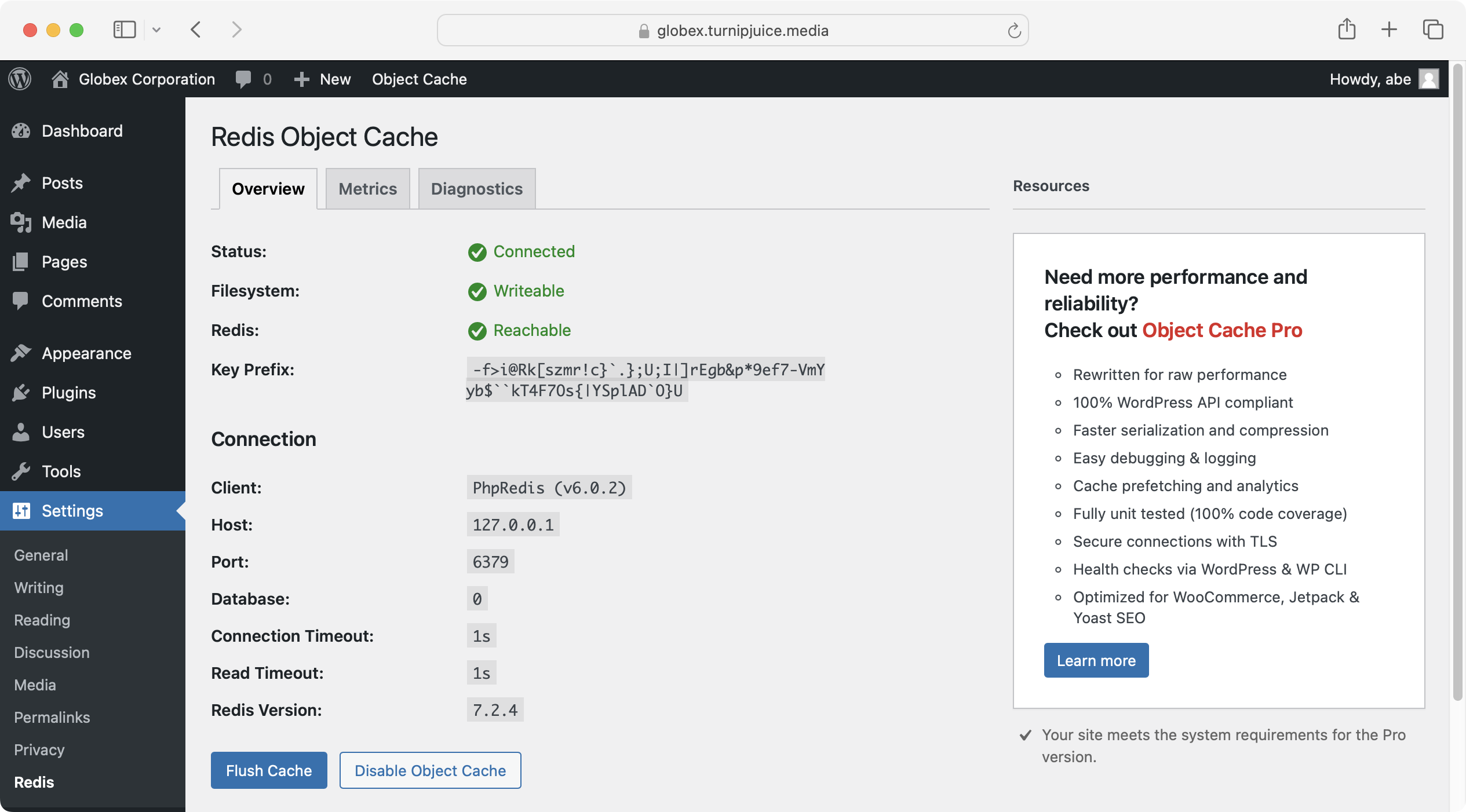 Screenshot of Redis Object Cache plugin settings enabled.