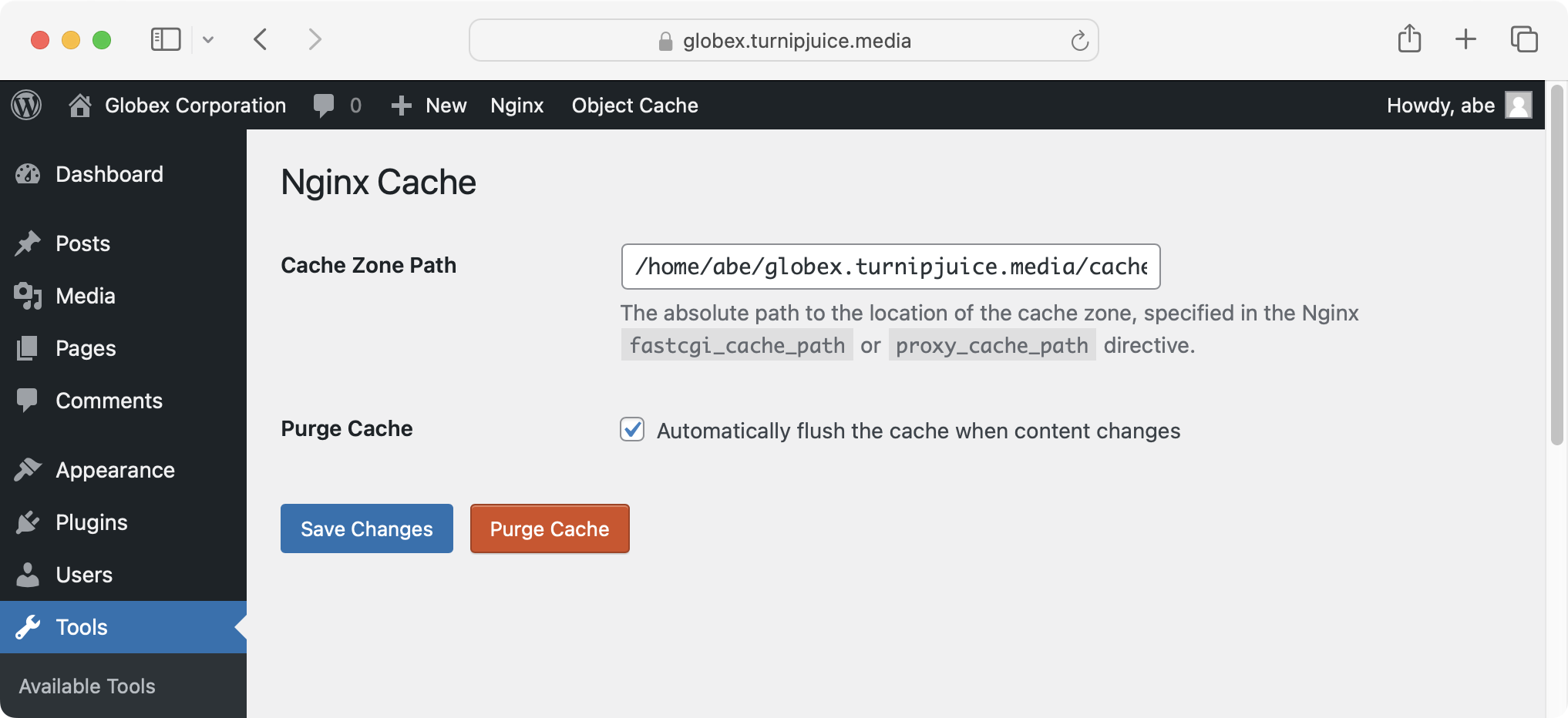 Screenshot of Nginx Cache plugin settings