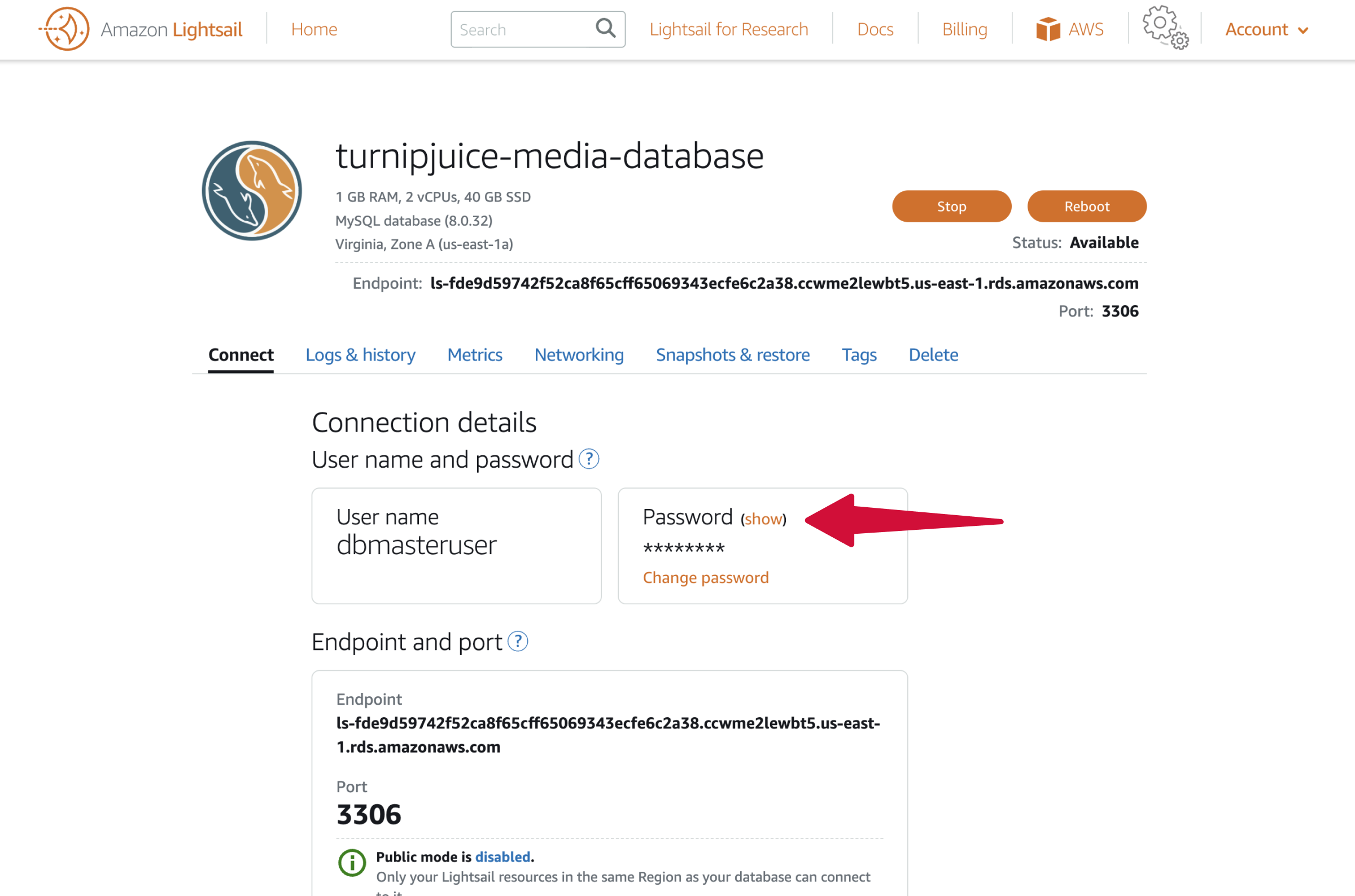 Amazon Lightsail database details.