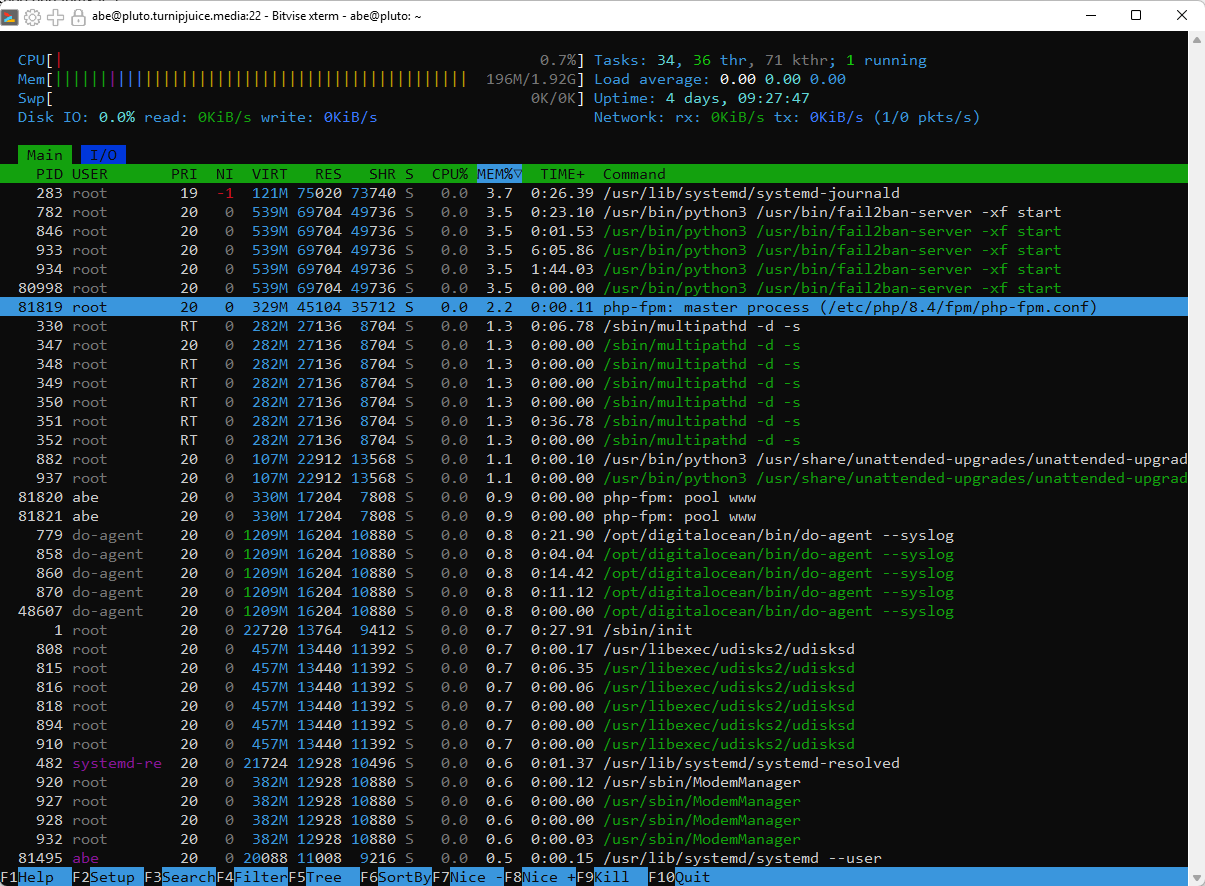 Screenshot of a terminal window showing htop to monitor server resources