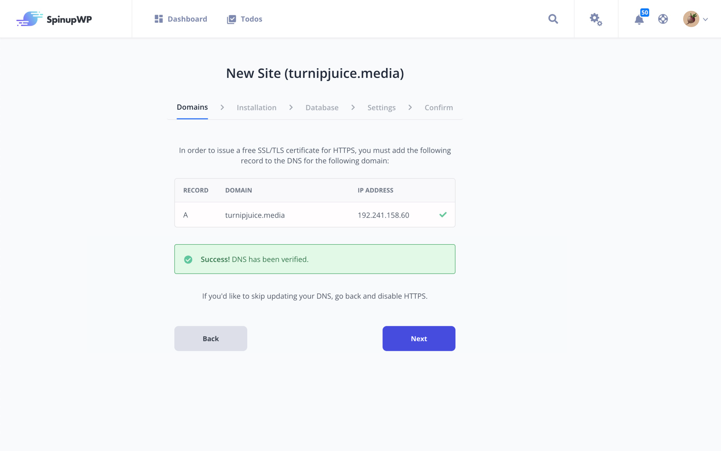 viewing new site DNS verification results