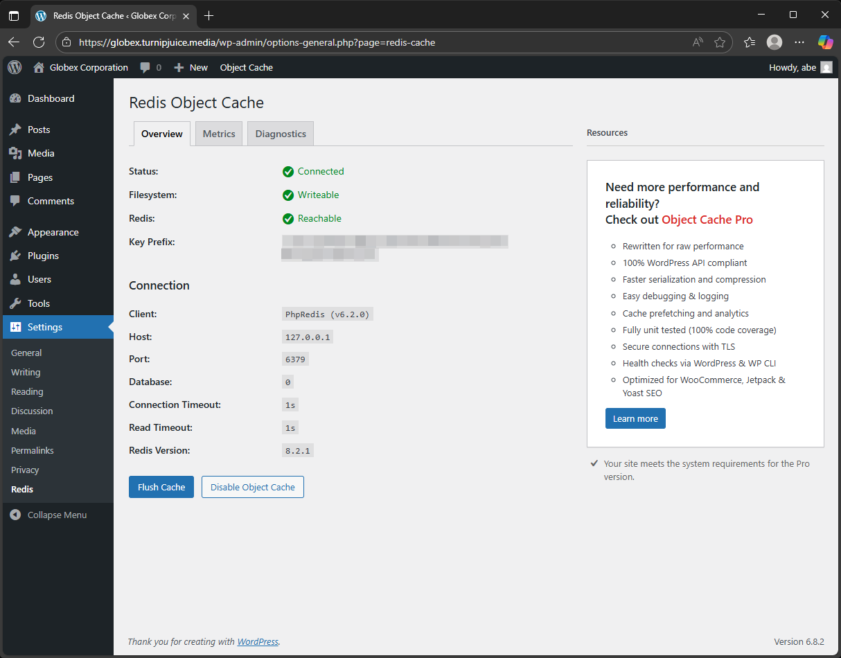Screenshot of Redis Object Cache plugin settings enabled.