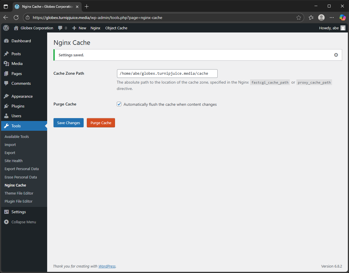 Screenshot of Nginx Cache plugin settings.