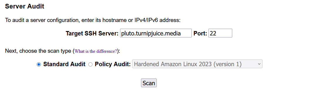 Screenshot of a Server Audit form by SSH-Audit.