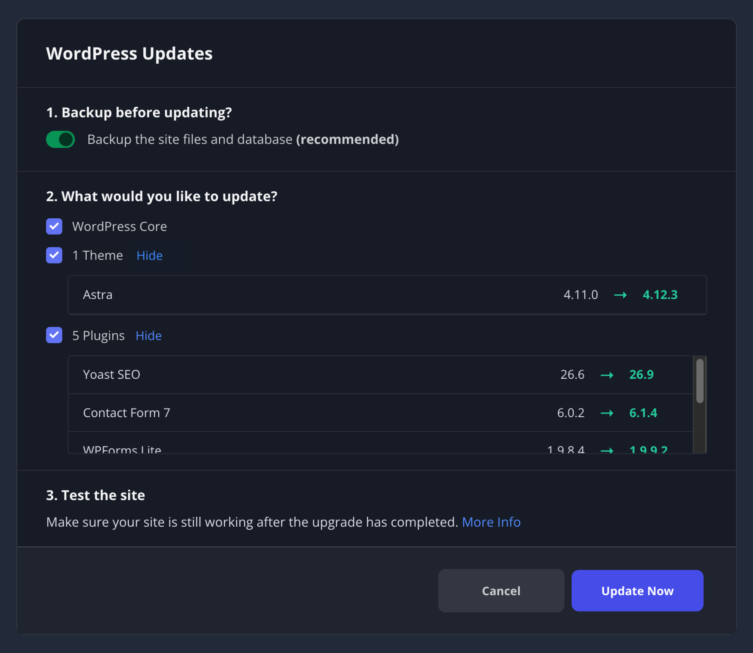 Performing WordPress updates in SpinupWP