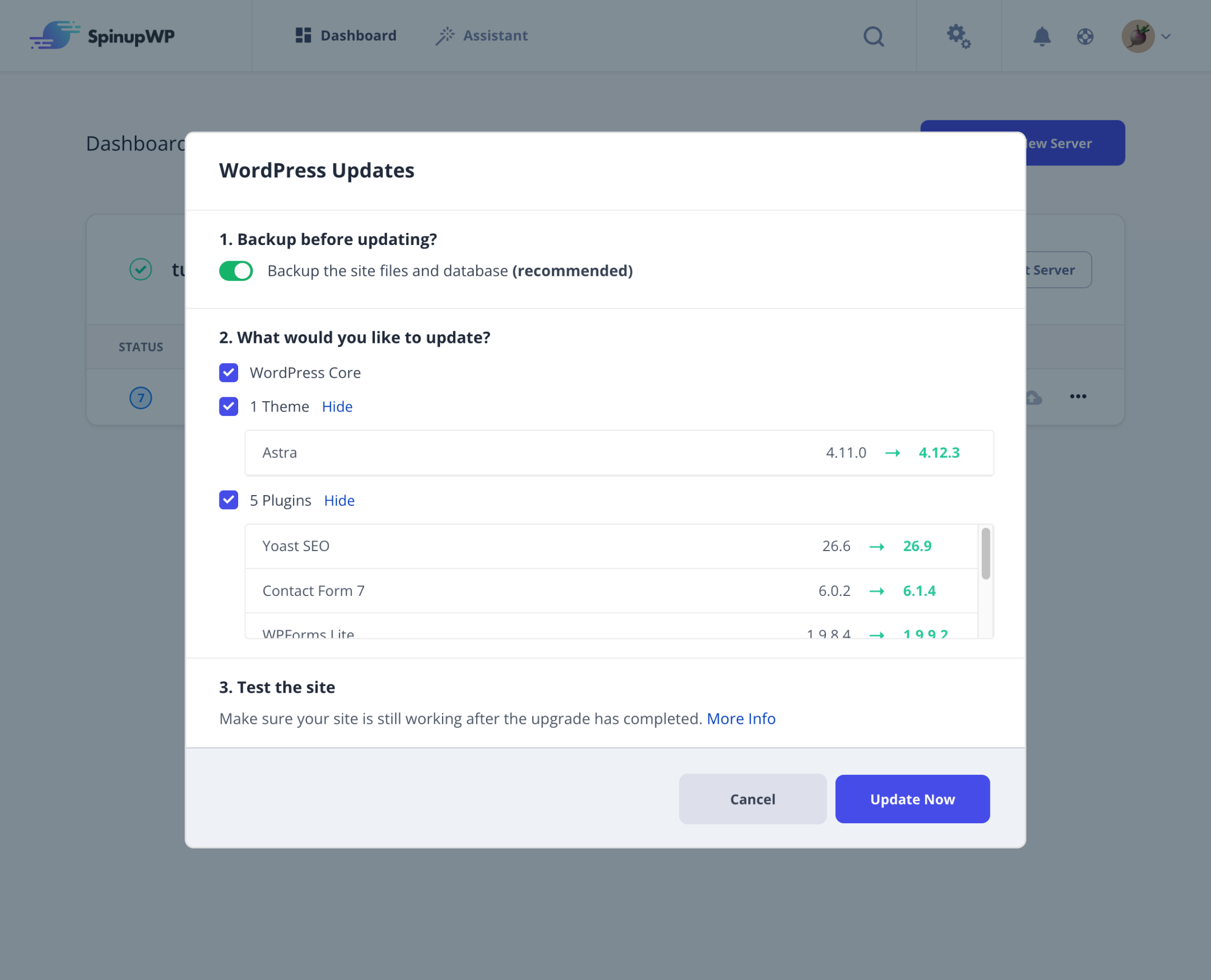 WordPress update modal - select items to update