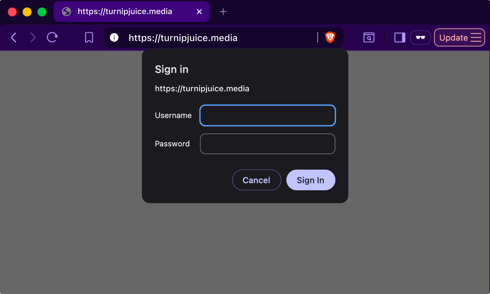 Basic auth in action