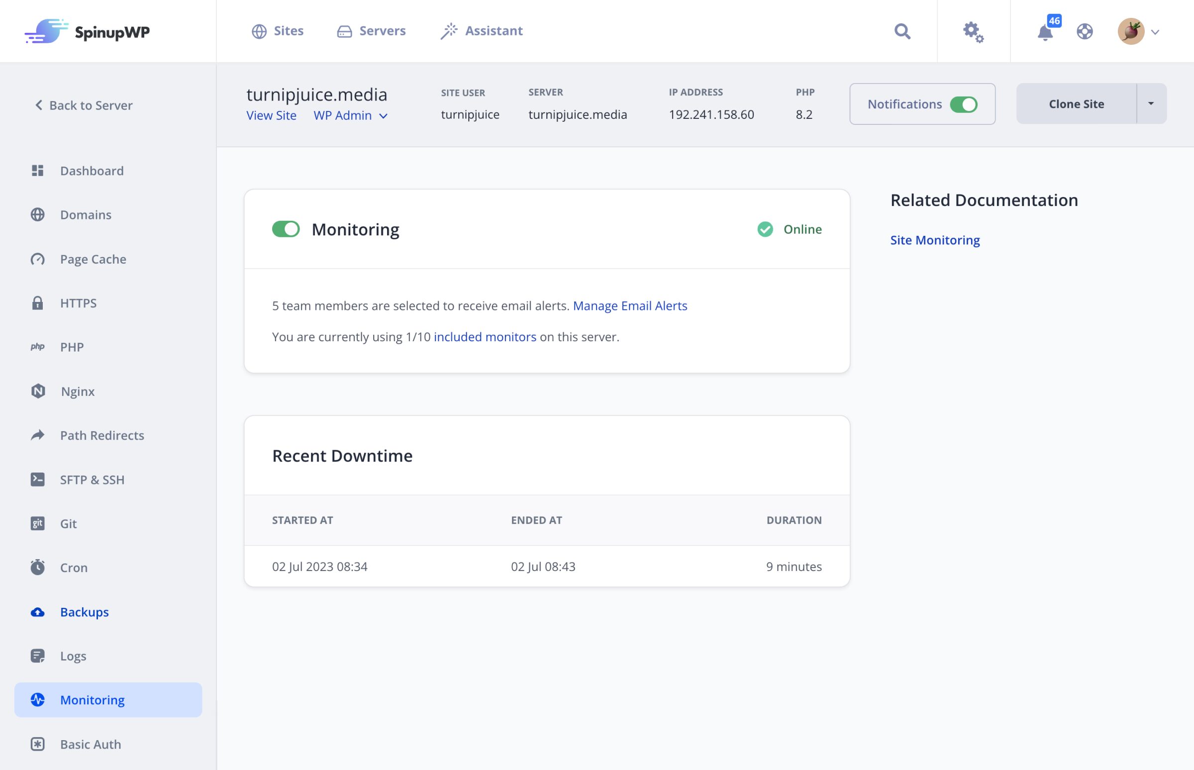 Site Monitoring in SpinupWP
