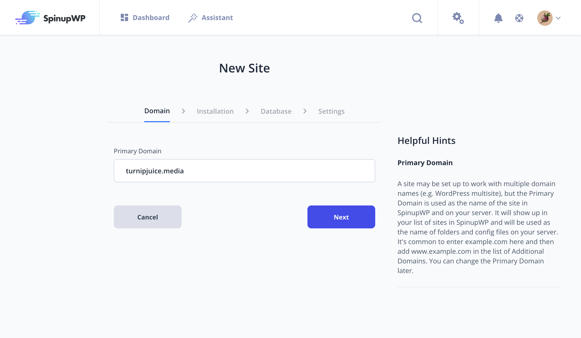 Setting up a new site's primary domain