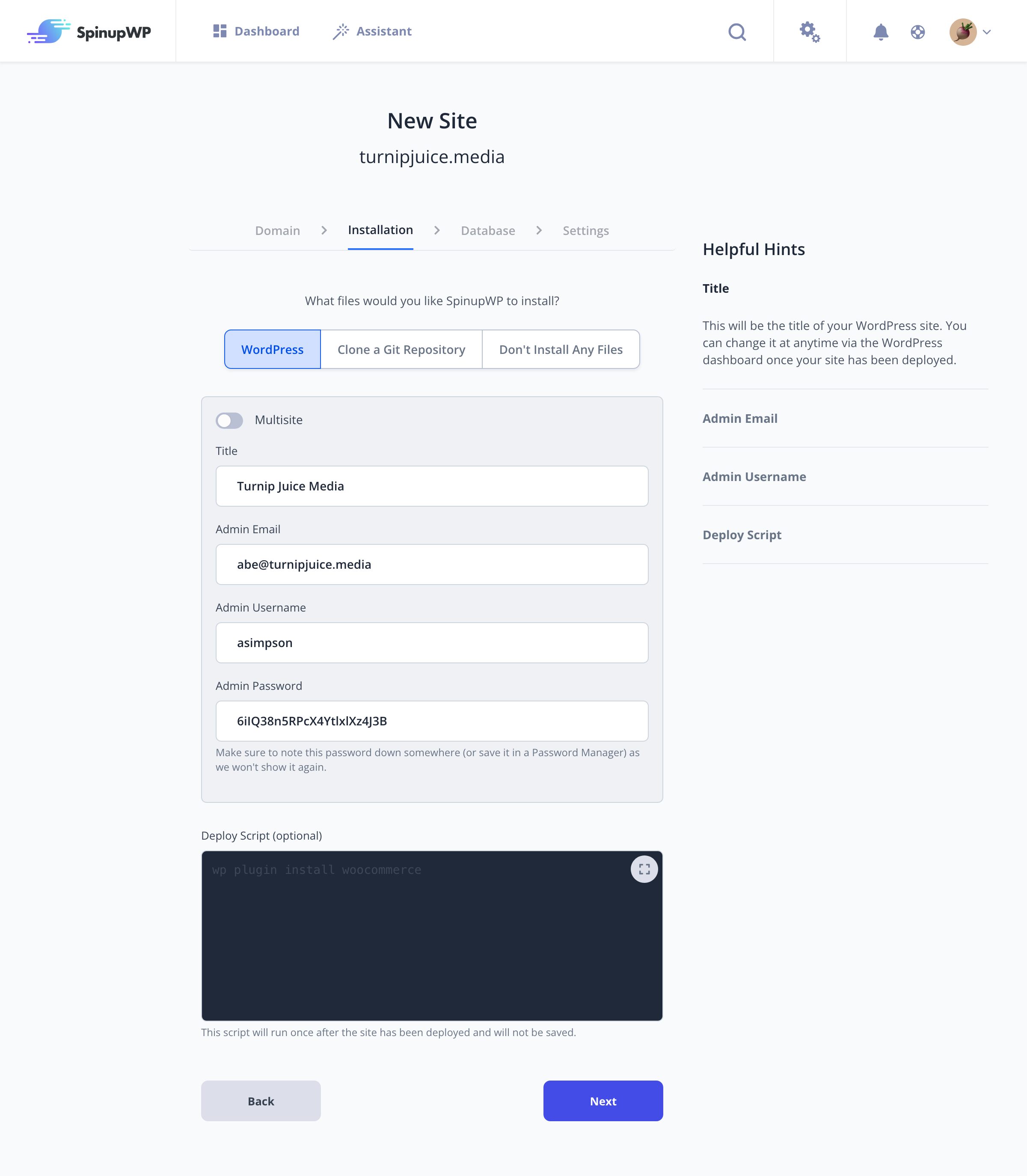 adding new WordPress site information overview