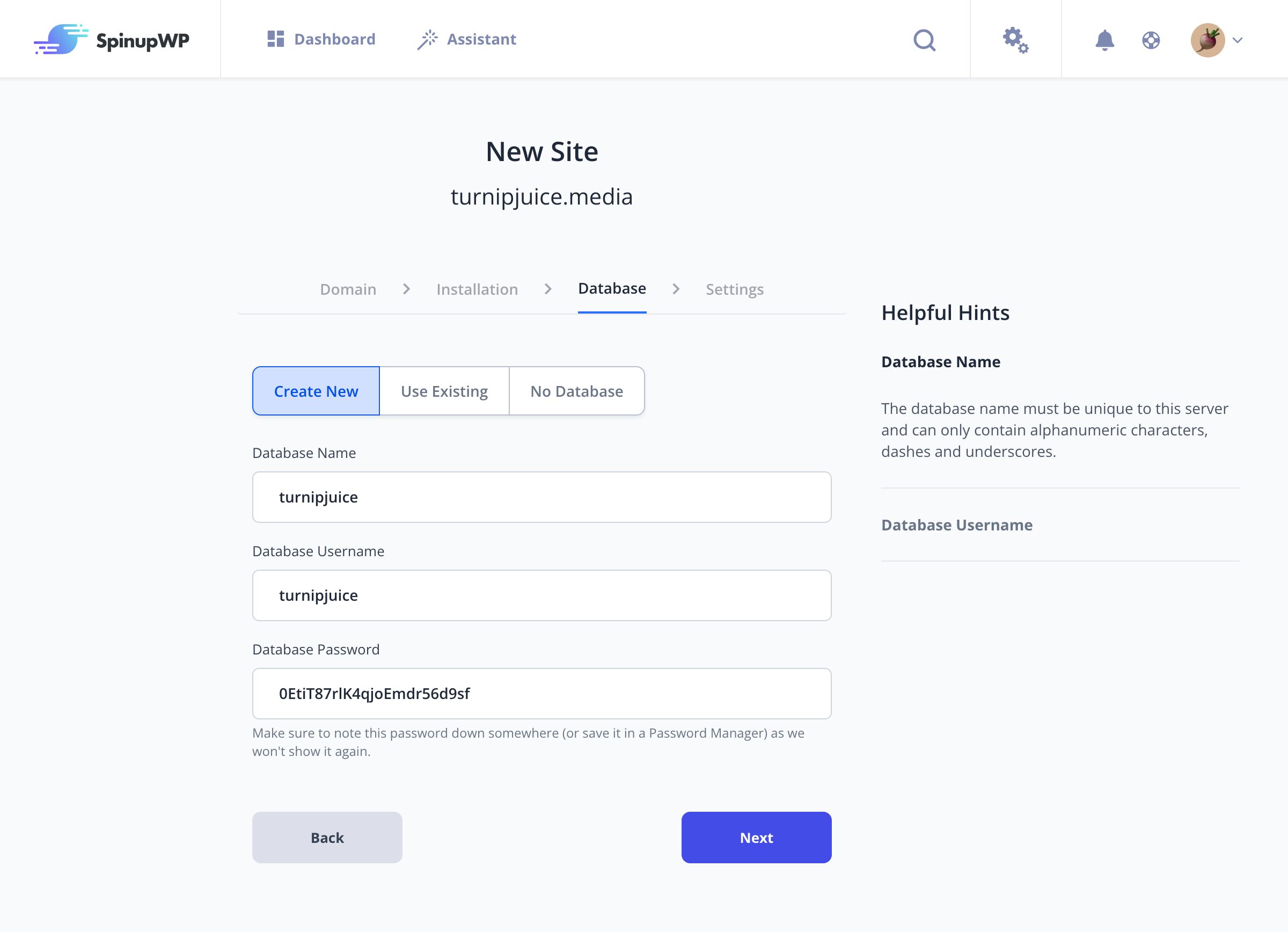 selecting database preferences for new site